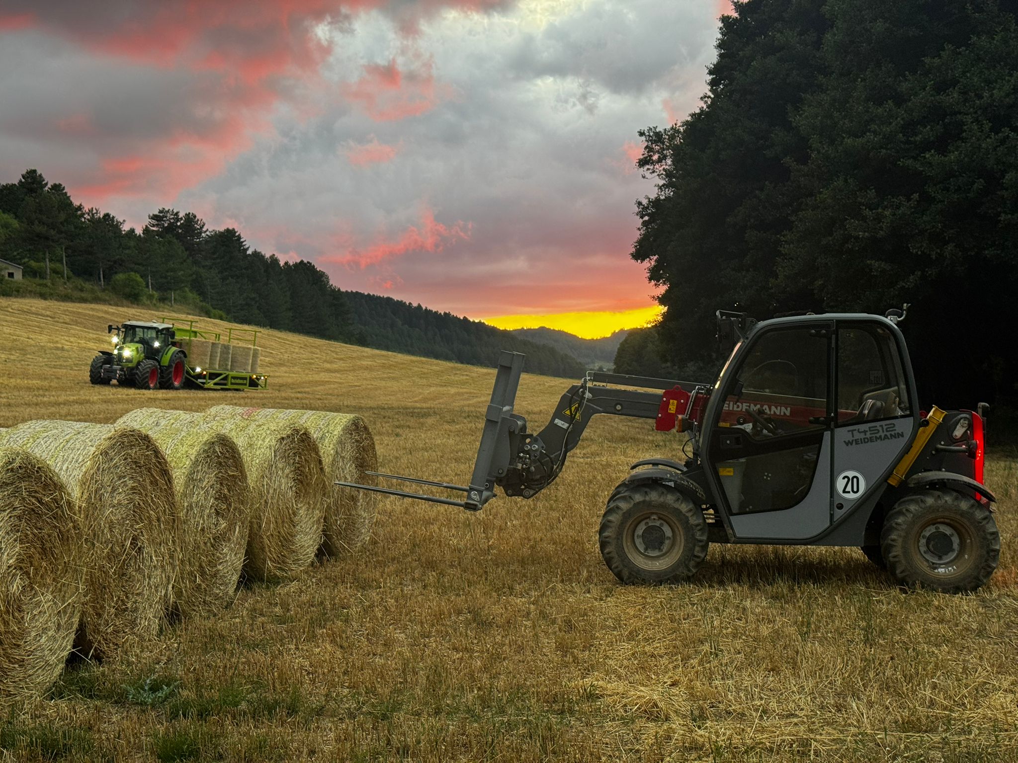 Operazioni di campo luglio 2025